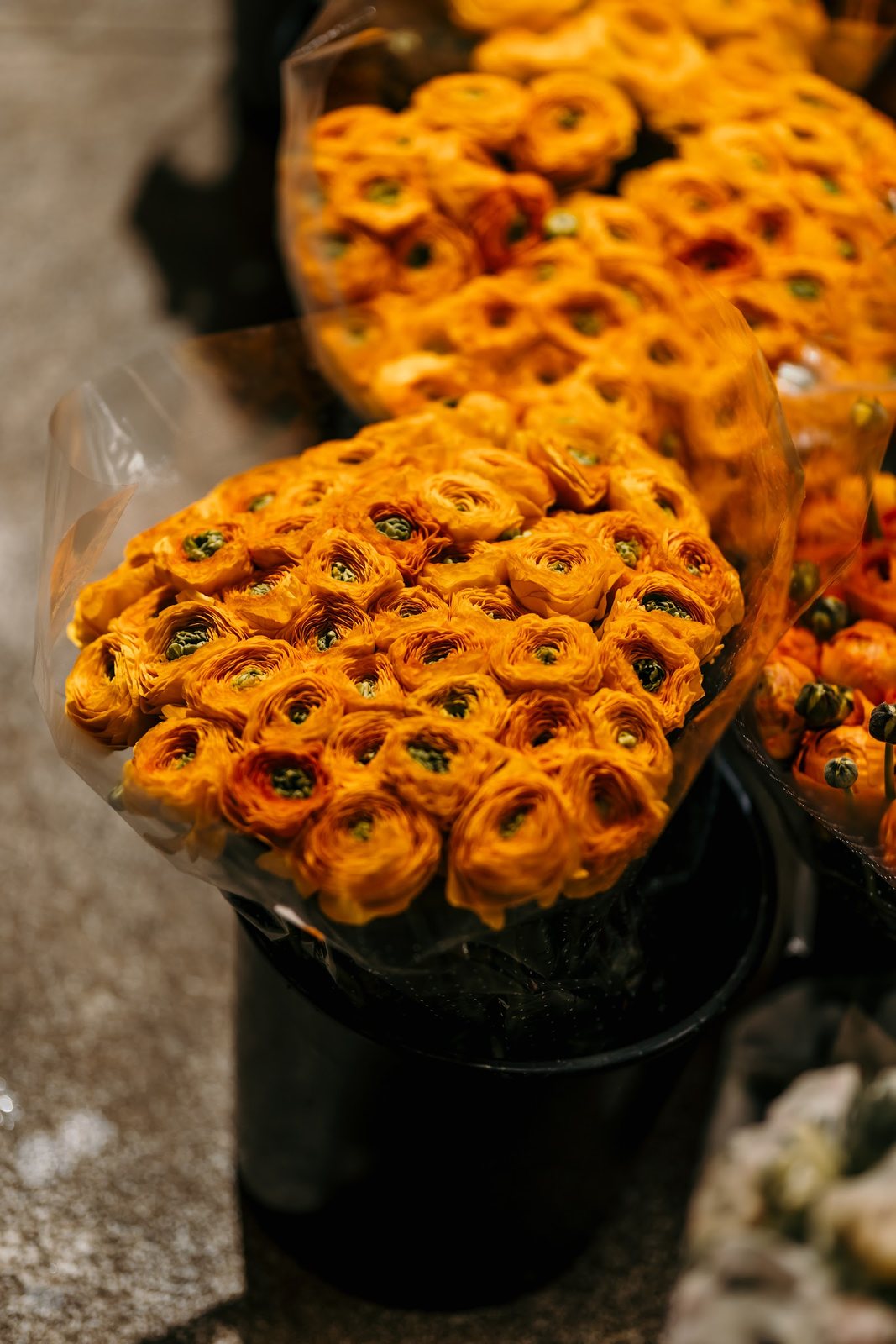 Renoncules orange